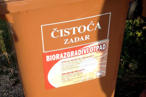 cistoca