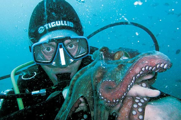 scuba_pag01